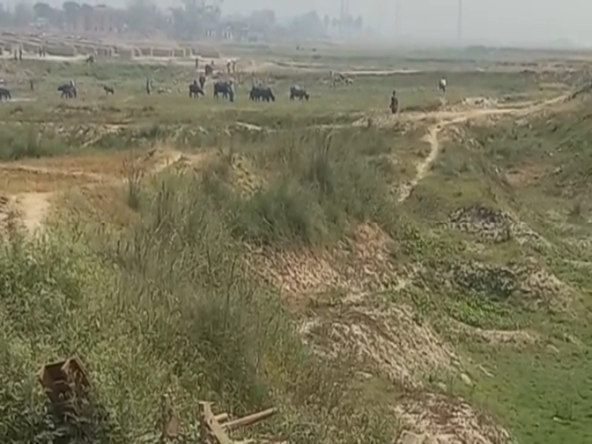 दबंग पशुपालकों ने दिनदहाड़े