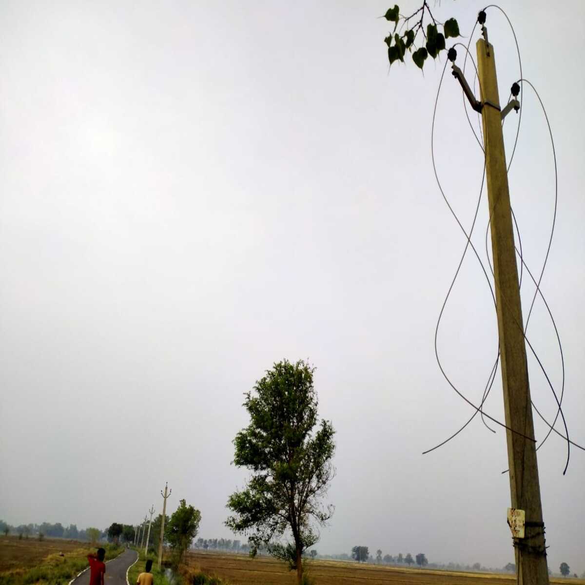 रोहतास: बिजली के बीस