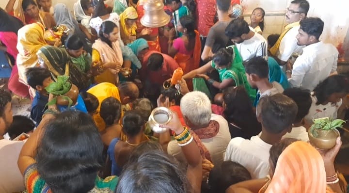 भोज के पत्ता खेत