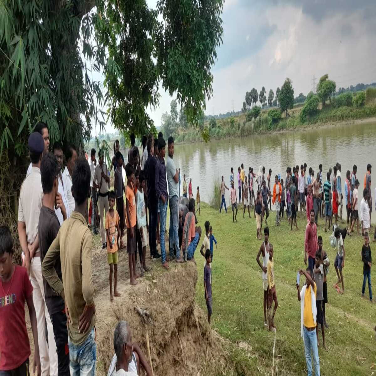 (खेत में लगी फसल)
