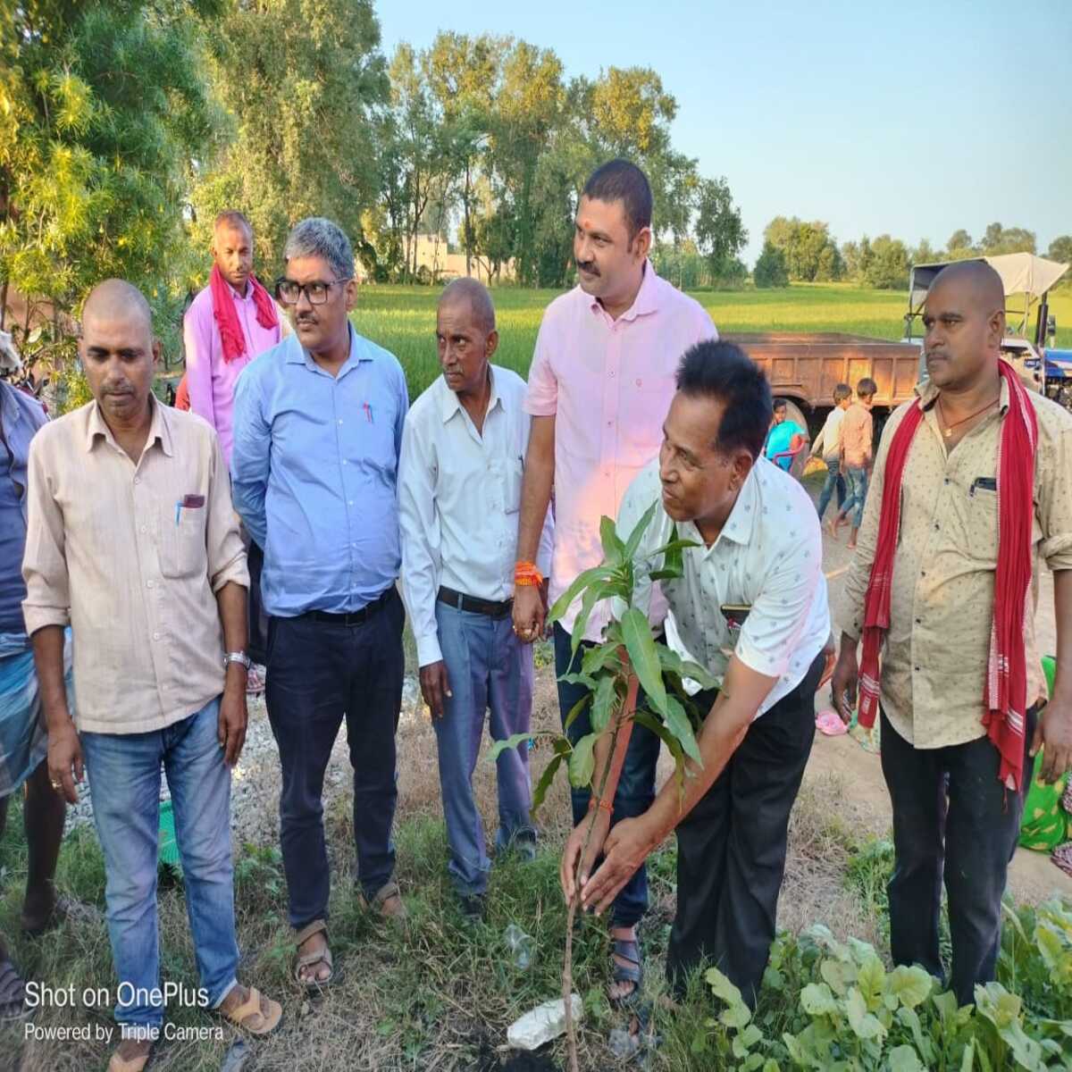बीईओ ने किया वृक्षारोपण
